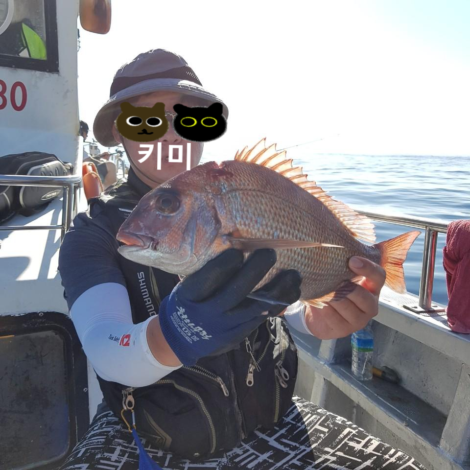  고양이 자연식 #12 - 자연산 참돔 꼬리찜 (고양이 먹방, 고양이 생선)