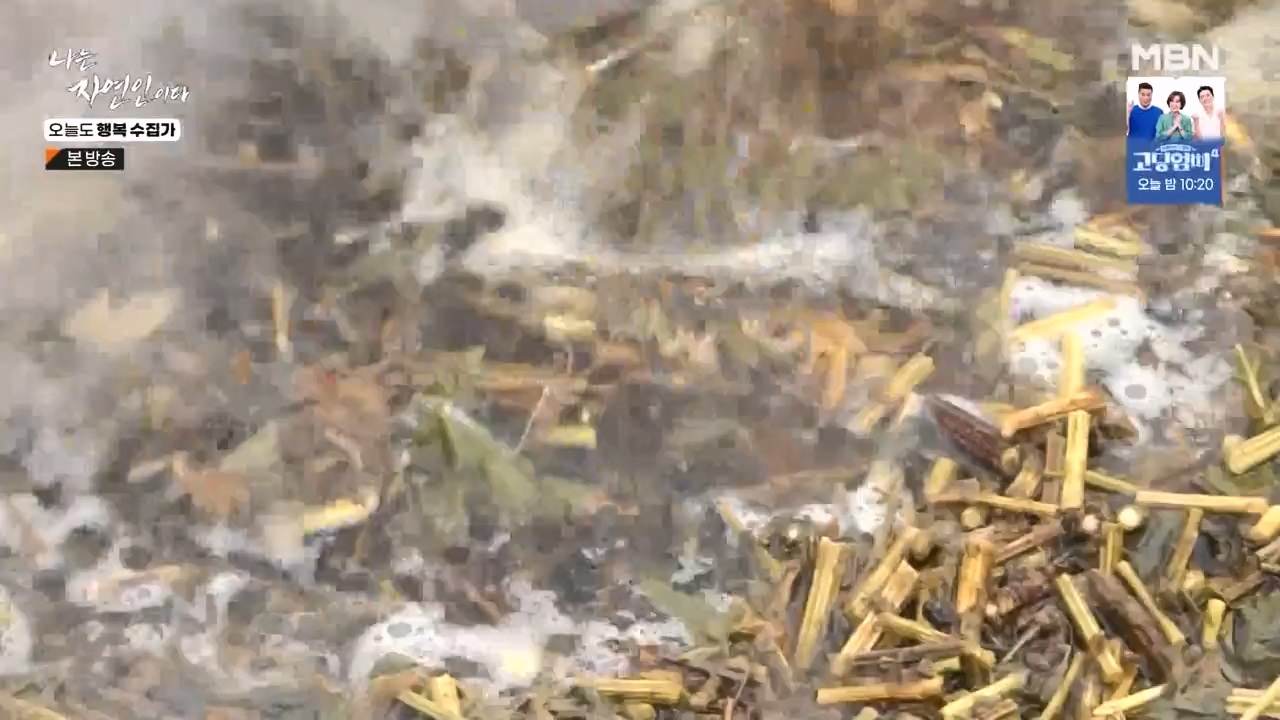 나는 자연인이다.E578.231102p-NEXT.mp4_20231102_202936.318.jpg