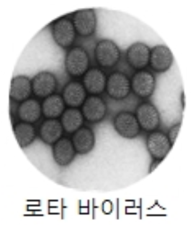  2023 3월 로타바이러스 백신 무료 접종 꼭 확인하세요!