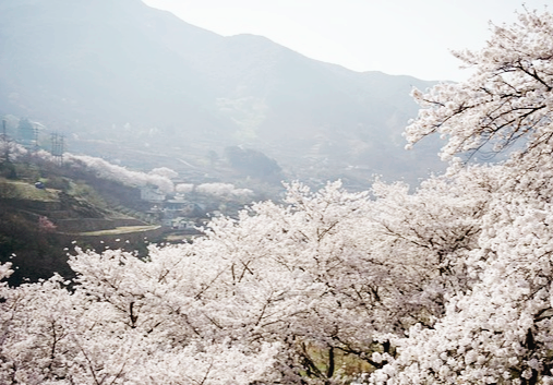 지리산관련사진