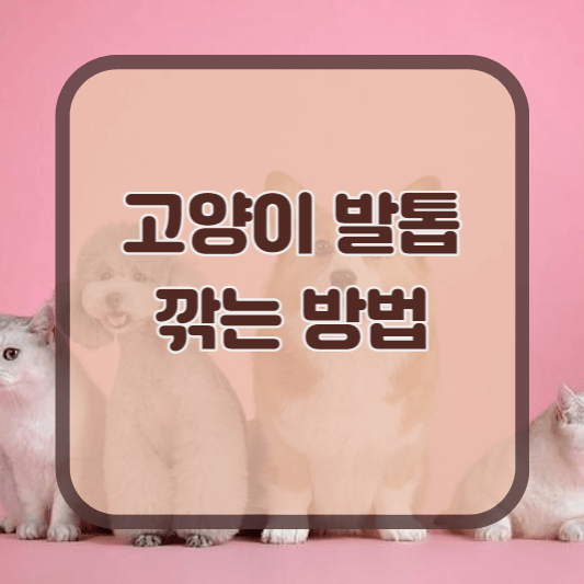 고양이발톱안깎으면