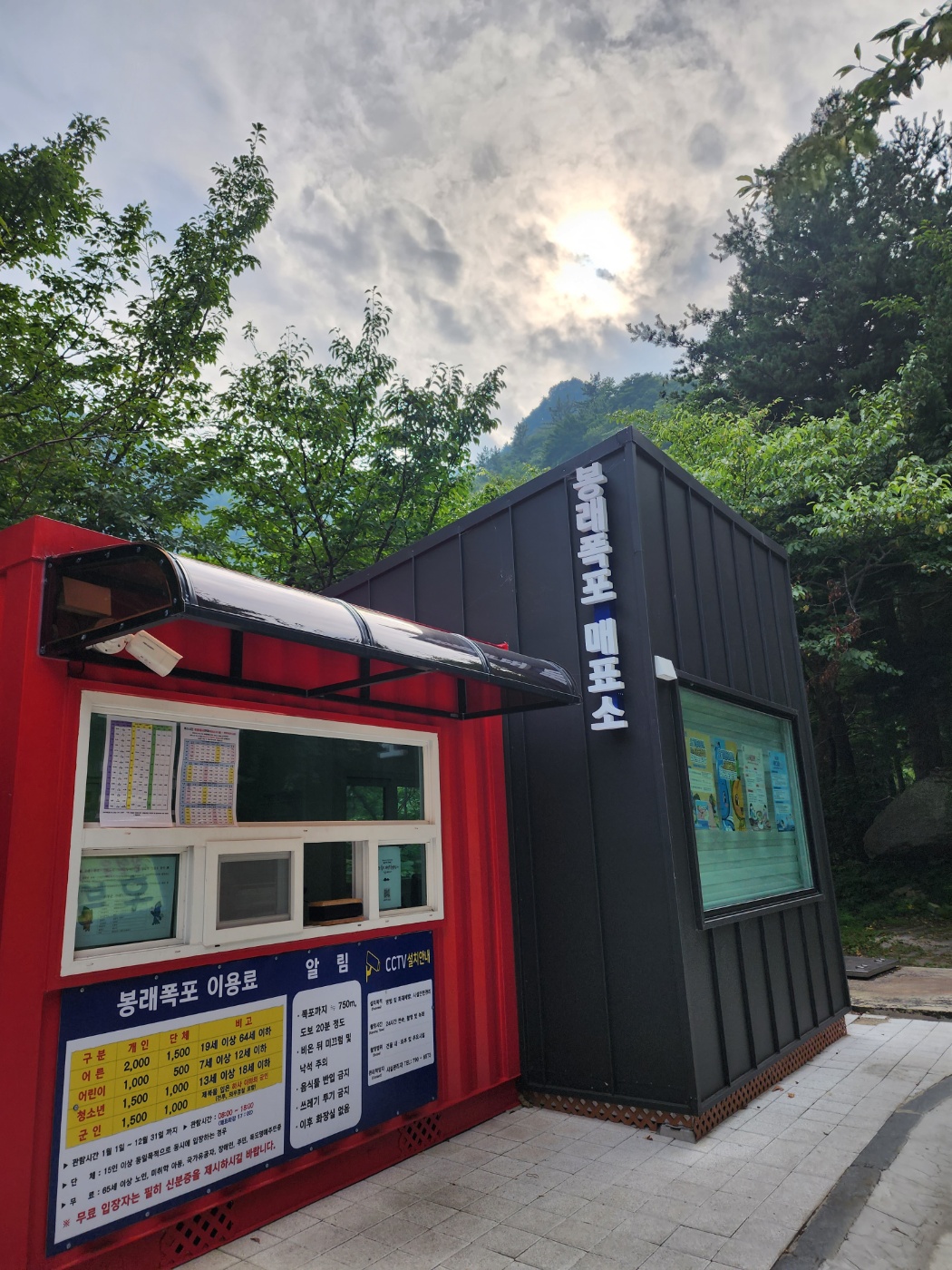 울릉도 봉래폭포: 원시림 속 폭포에서 힐링을