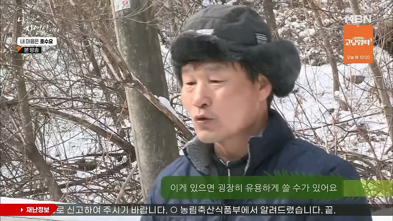 나는 자연인이다.E540.230209p.H264-F1RST.mp4_20230209_203737.163.jpg