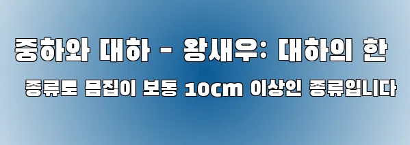 중하와 대하 - 왕새우: 대하의 한 종류로 몸집이 보통 10cm 이상인 종류입니다