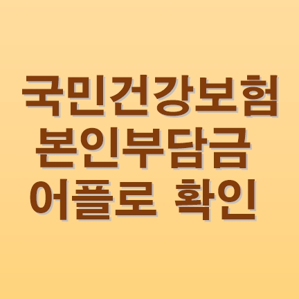  어플 나라