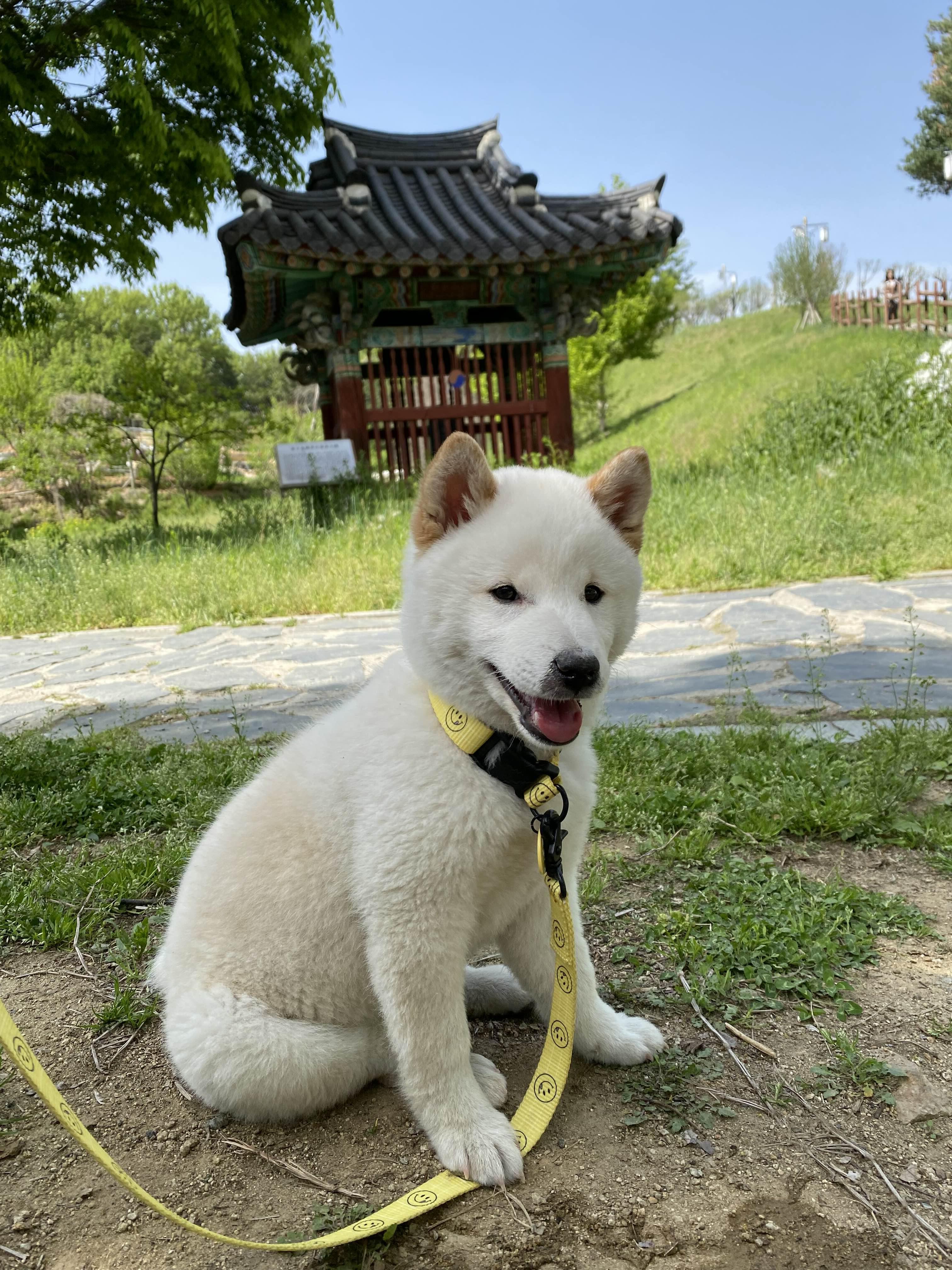 alt 태그