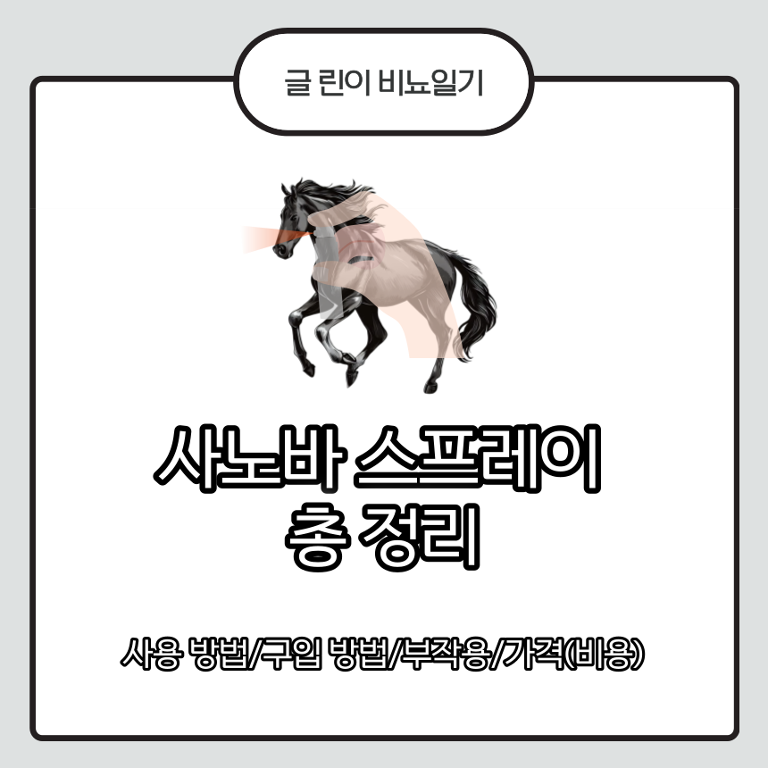  사노바 스프레이 총 정리 : 사용 방법/구입 방법/부작용/가격(비용)