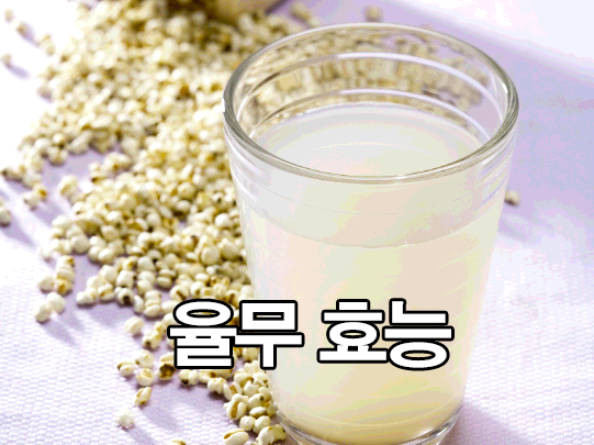  율무 효능 : 율무차, 부작용