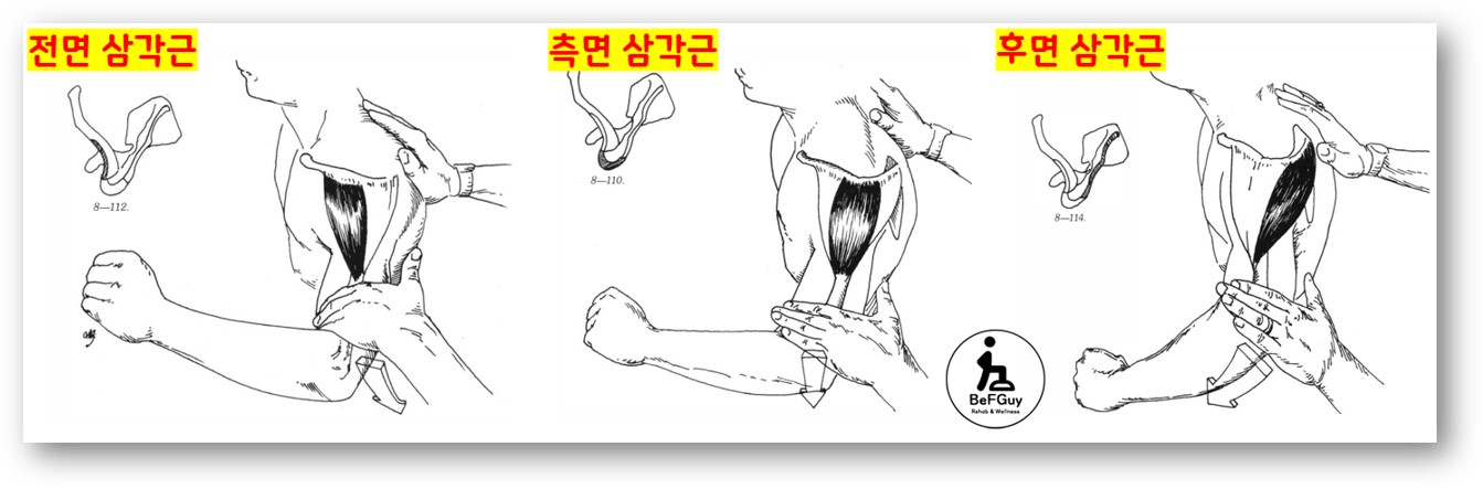 [AK 삼각근 검사]