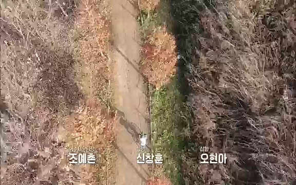 [3회] 자연의 철학자들 - KBS새처럼 살고 싶어라] 자연이라는 위대한 법당에서 숲의 울림, 새들의 소리를 들으며 깨달음을 얻은 도연 스님.ts_20220320_153610.385.jpg