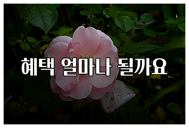 혜택 얼마나 될까요