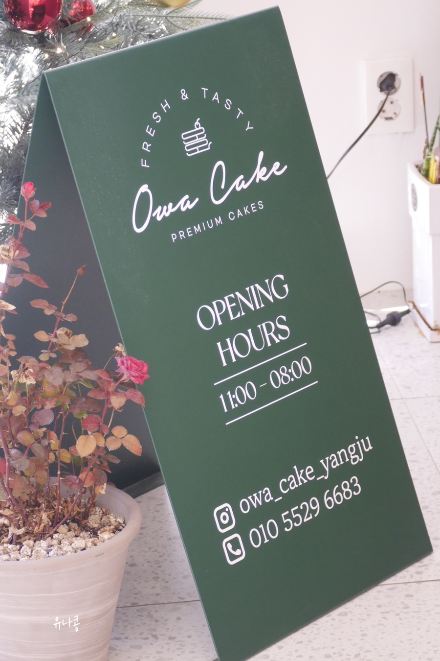 케이크(owa cake)에서 커피와 디저트 옥정 카페, 오와 1