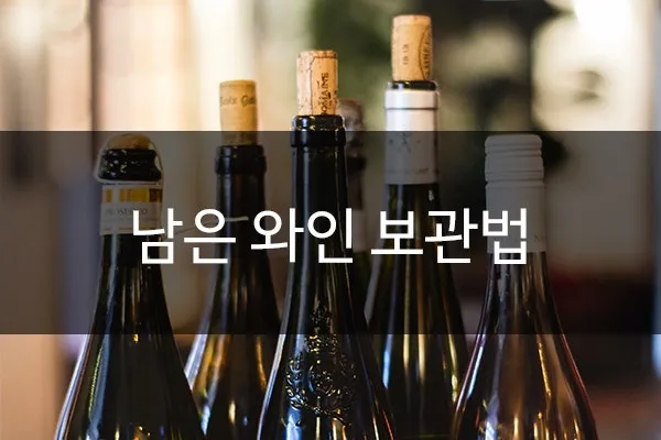 와인보관법 남은와인보관_4