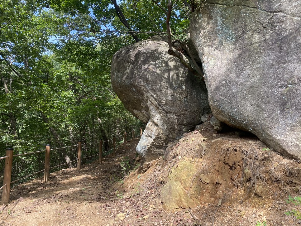 홍길동이 다녀간 1