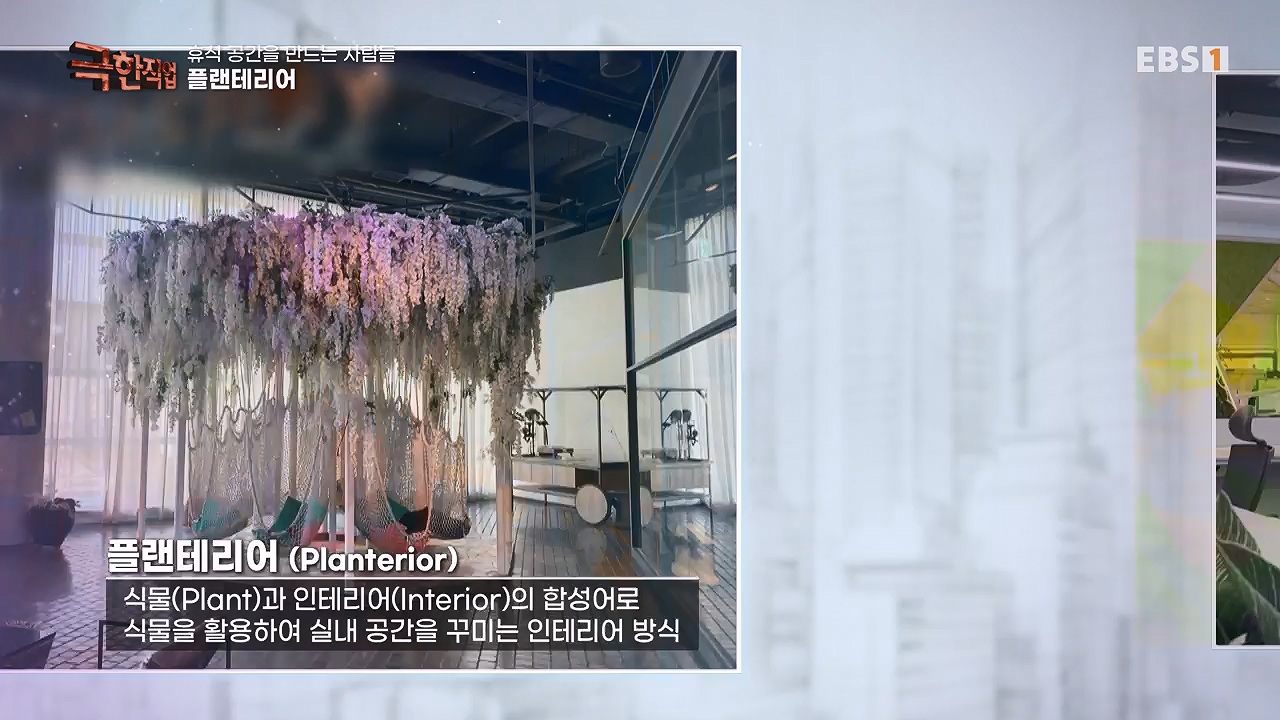 TV - 전 국민의 평생학교 EBS휴식공간을 만드는 사람들, 대형목 이식과 조경.mp4_20240518_160902.583.jpg