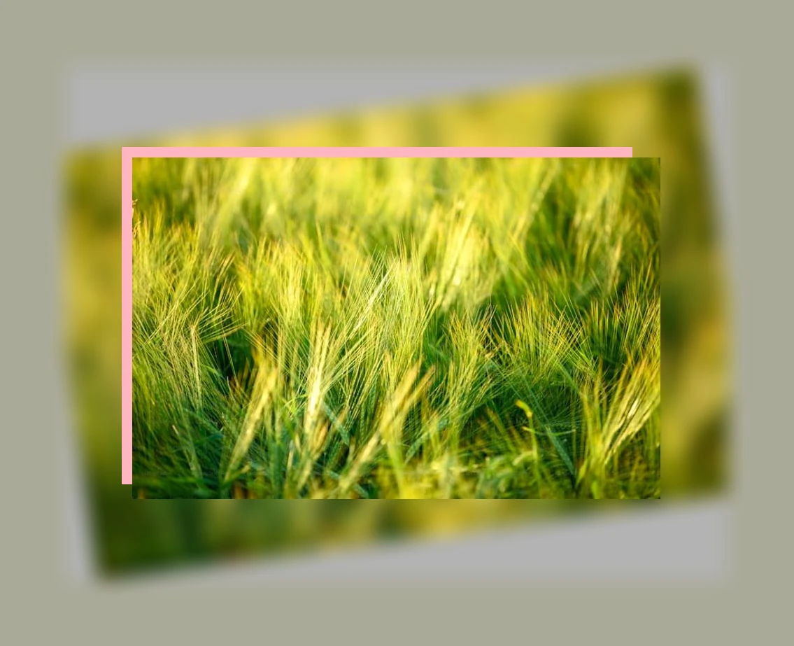아마씨 효능_1_subsection