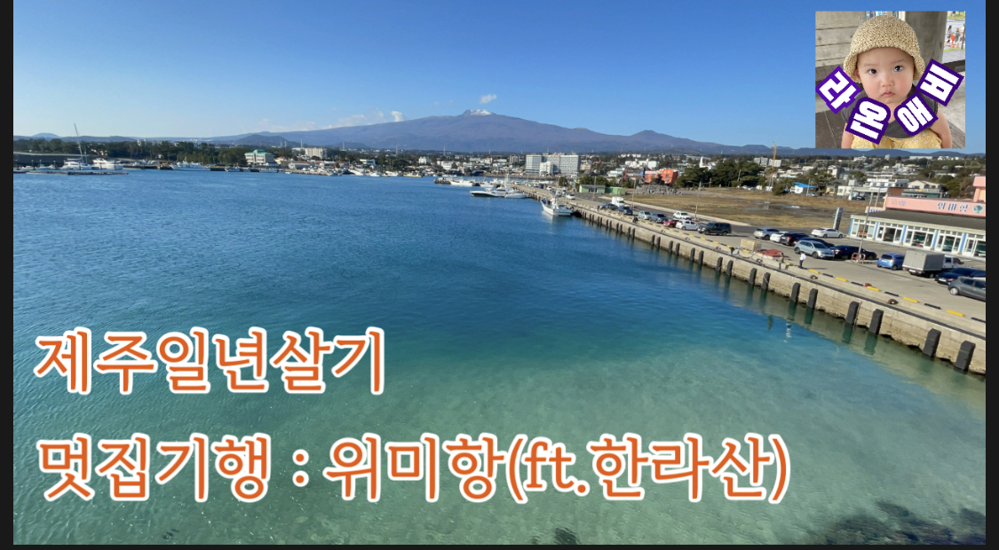  멋집기행 : 제주도 서귀포 위미항(ft.한라산)
