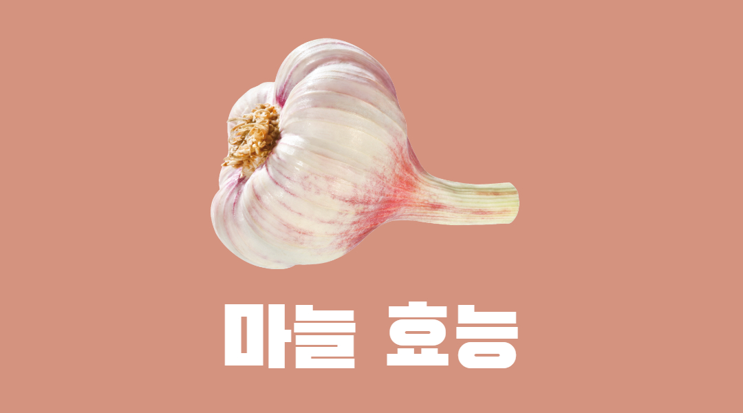  나만 모르는 마늘 효능 보관법 고르는법