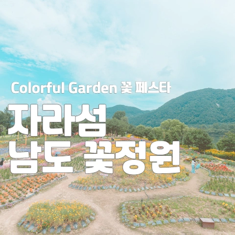  Colorful Garden 꽃 페스타 "자라섬 남도 꽃정원"