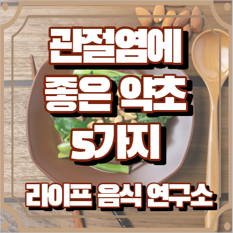 관절염에 좋은 약초 5가지