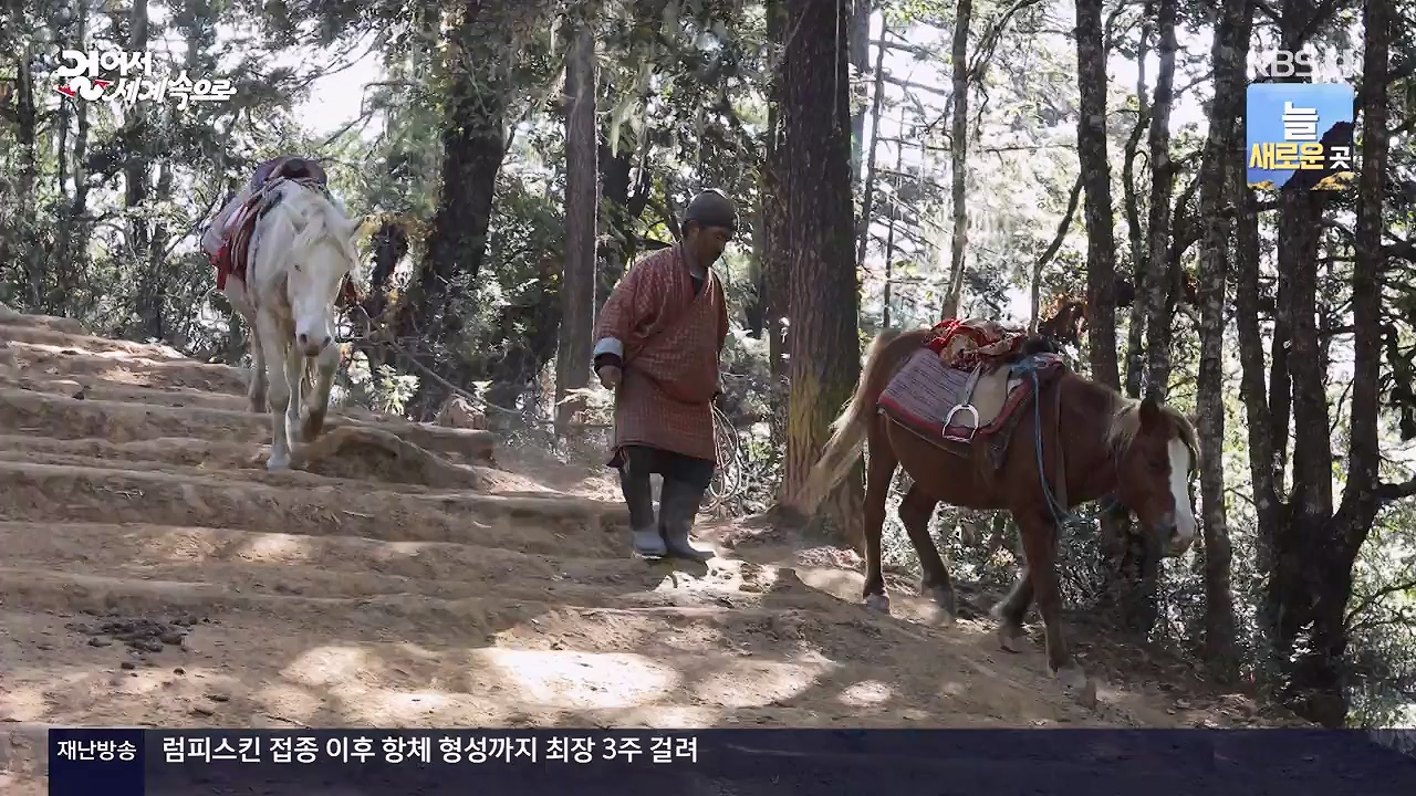 걸어서 세계속으로.E819.231126p-NEXT.mp4_20231126_175511.858.jpg