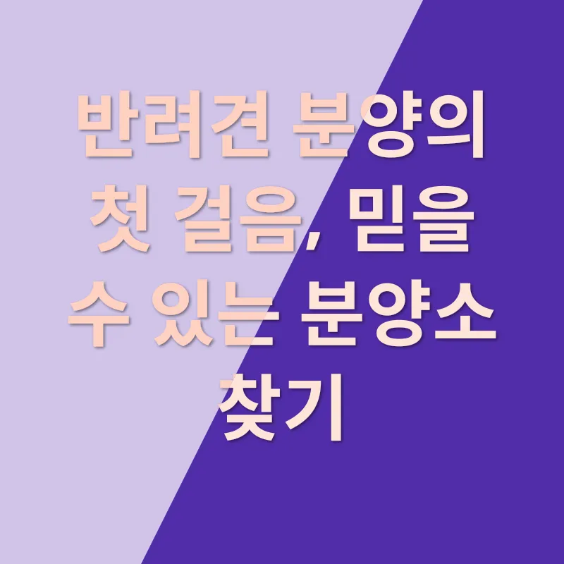 반려견 분양_4
