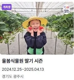 전국 축제일정 1월 2월 총정리