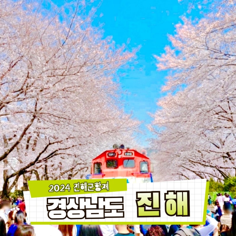 진해 이미지