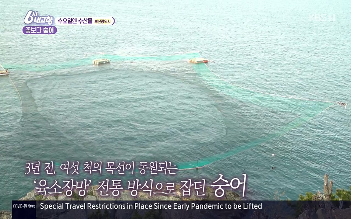 6시 내고향.E7523.220421p-NEXT.mp4_20220507_175152.722.jpg