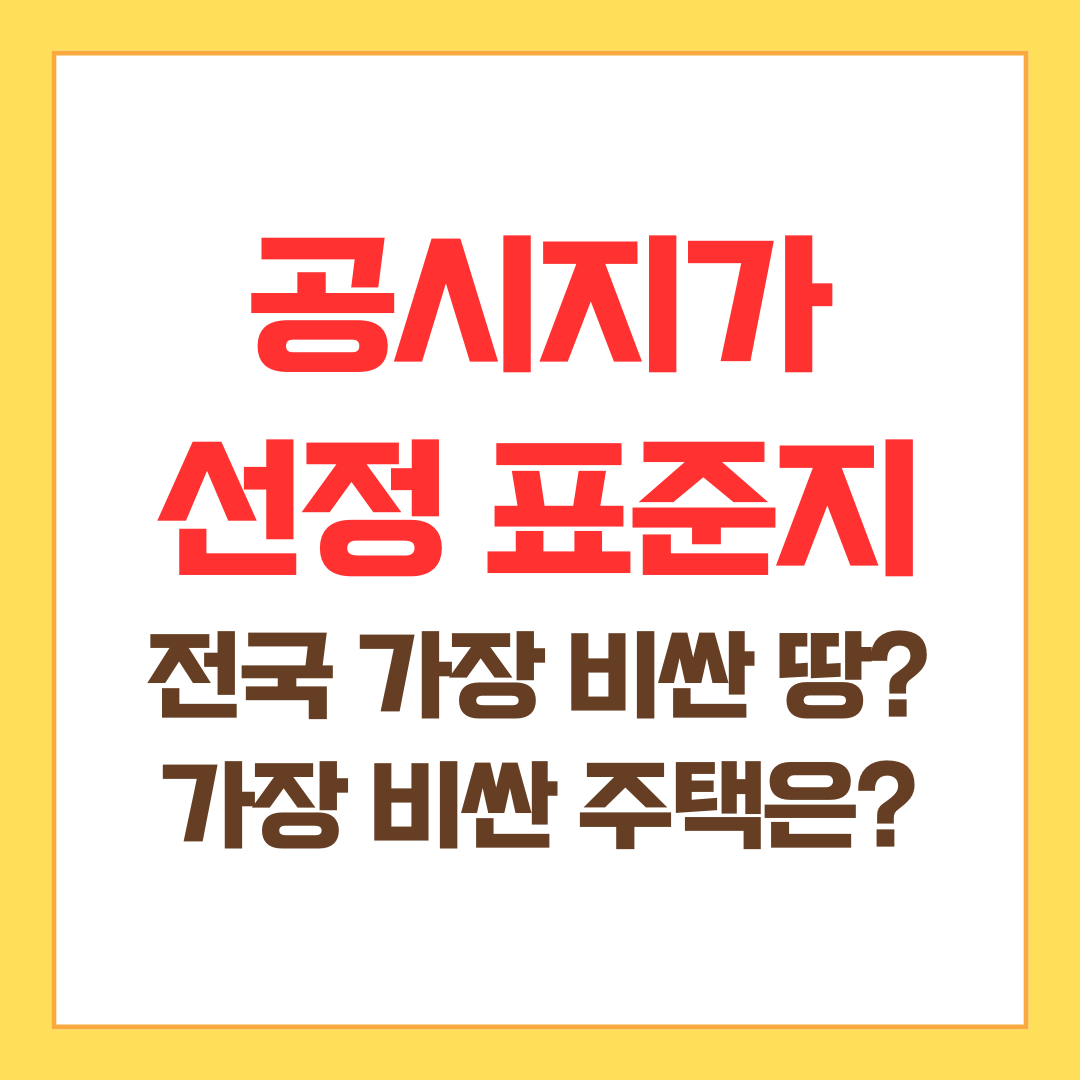 개별공시지가 가장 비싼 곳