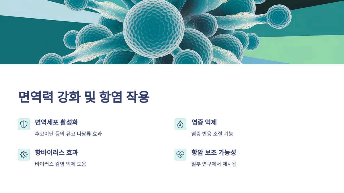 뮤코 다당류