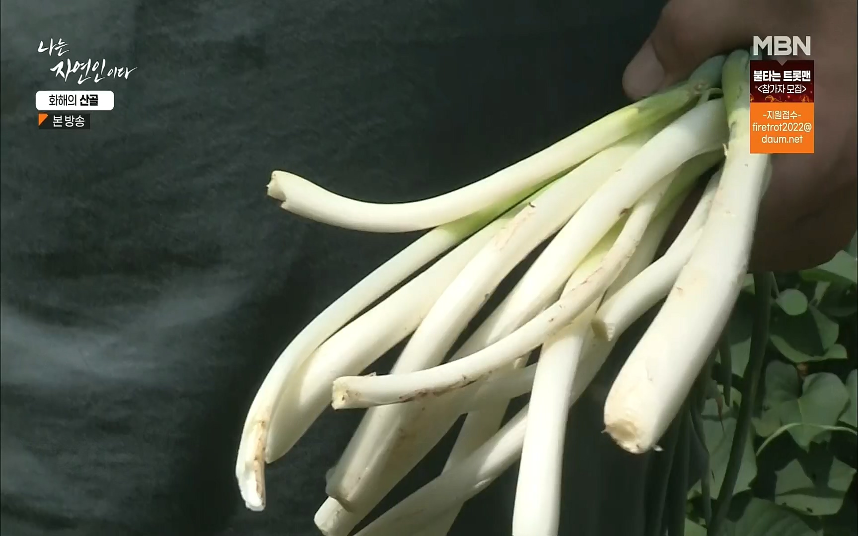 나는 자연인이다.E515.220817p.H264-F1RST.mp4_20220818_201912.531.jpg