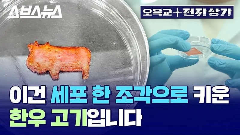 배양육 대장주 관련주 TOP5 총정리_8