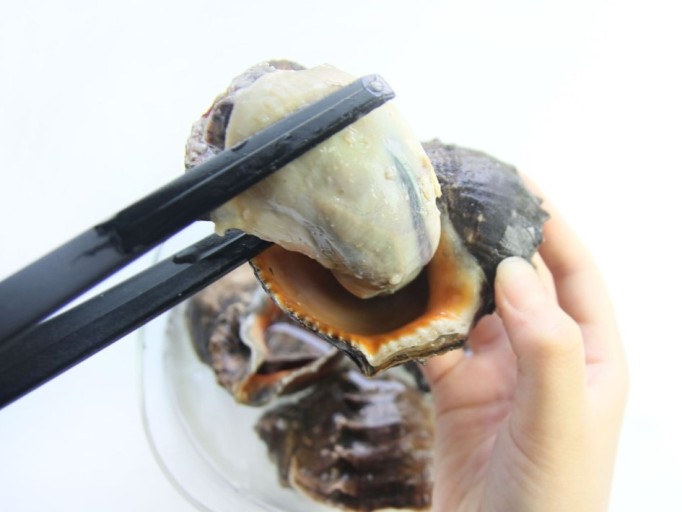 소라 이미지