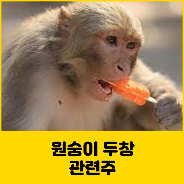 원숭이 두창 관련주