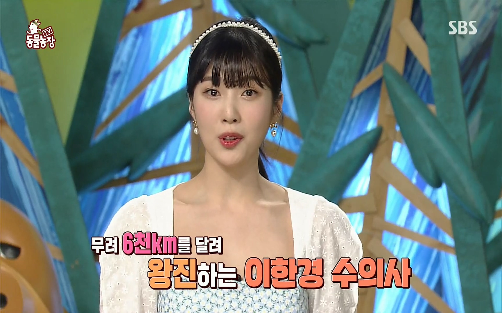 TV 동물농장.E1069.220515p.H264-F1RST.mp4_20220515_181123.362.jpg