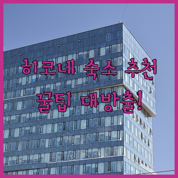 히코네 여행의 완벽한 숙소? 컴포트 
