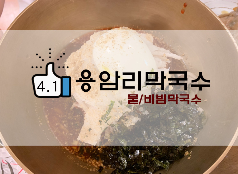  양주근교맛집 용암리막국수