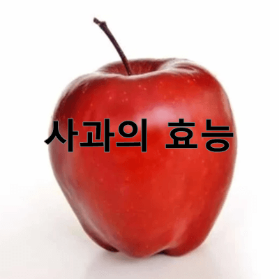 사과의효능-썸네일