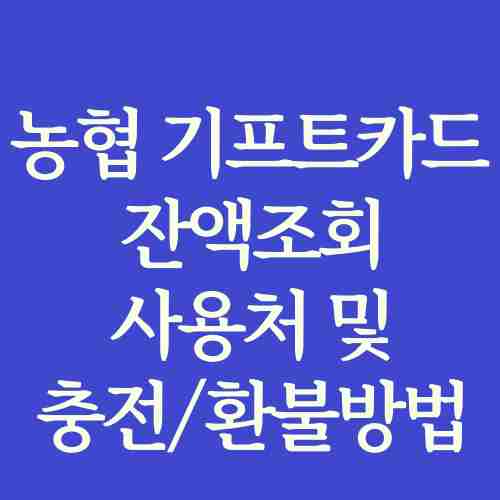 농협-기프트카드-잔액조회-사용처-정리-글-사진