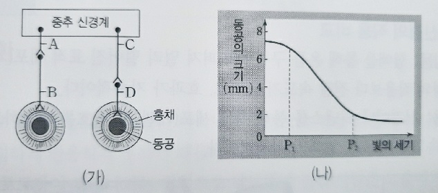  수능특강, 수능완성 과탐(물리/화학/생명과학/지구과학) 연계 공부 방법