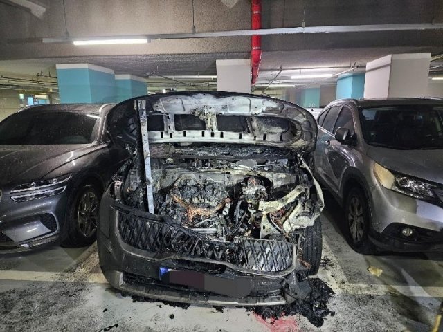 새차처럼 이미지