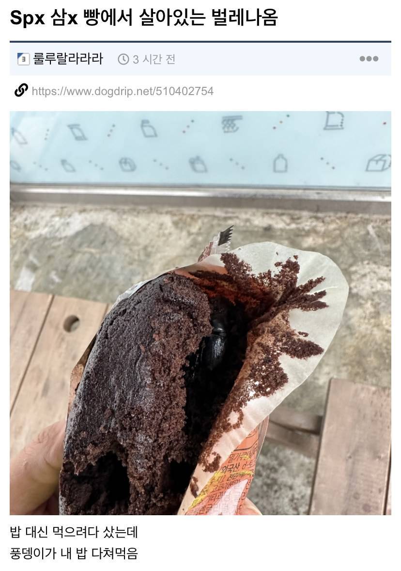 편의점 빵 샀는데 안에서 살아있는 풍뎅이 나옴.jpg