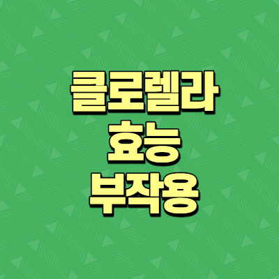  클로렐라 효능과 부작용 알아보기