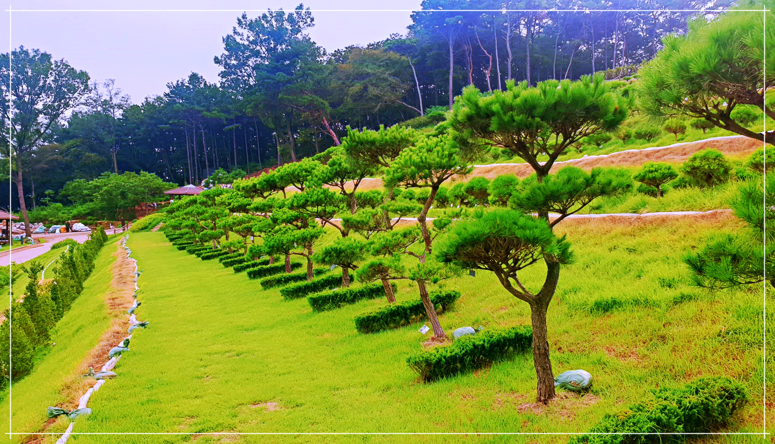 합법 일산수목장