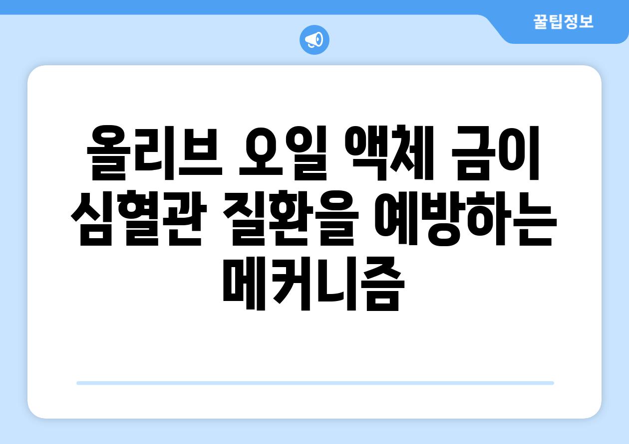 올리브 오일 액체 금이 심혈관 질환을 예방하는 메커니즘