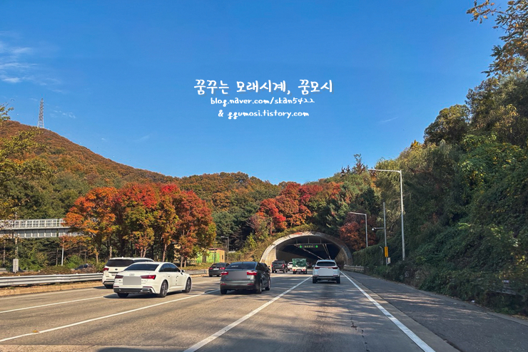 채선당부천 이미지