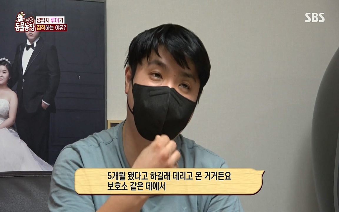 TV 동물농장.E1068.220509p-NEXT.mp4_20220508_173810.749.jpg