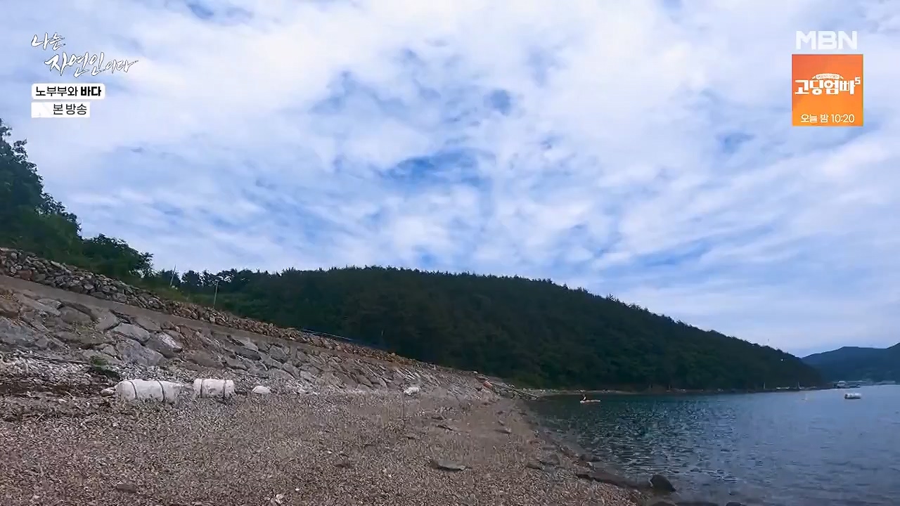 나는 자연인이다.E610.240620p-NEXT.mp4_20240620_194746.910.jpg