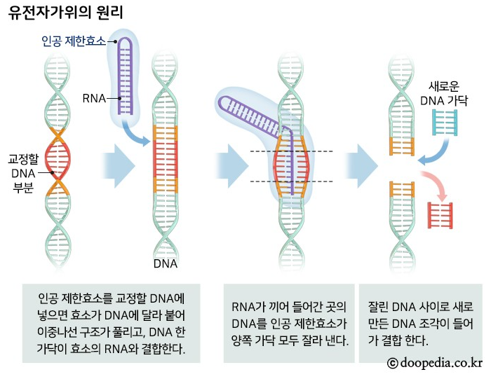 ① 기업정보 & 청약 툴젠 공모주